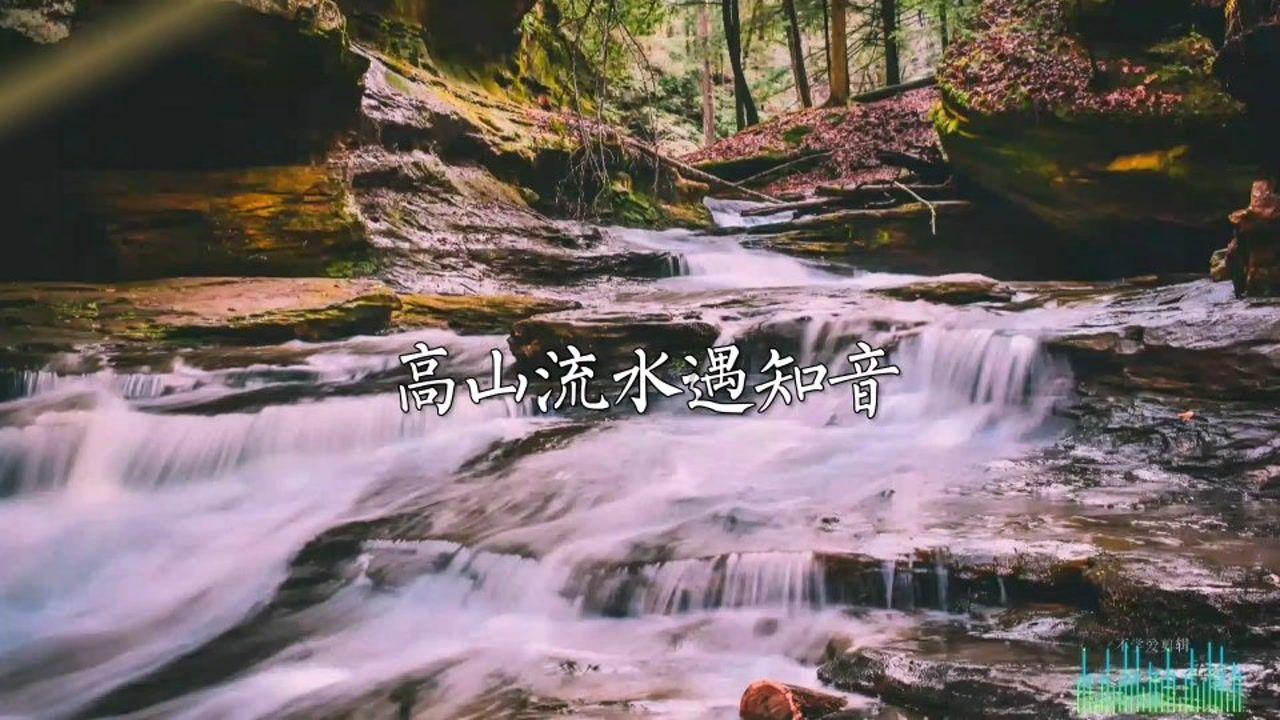 广水市科学技术和经济信息化局统一社会信用代码？